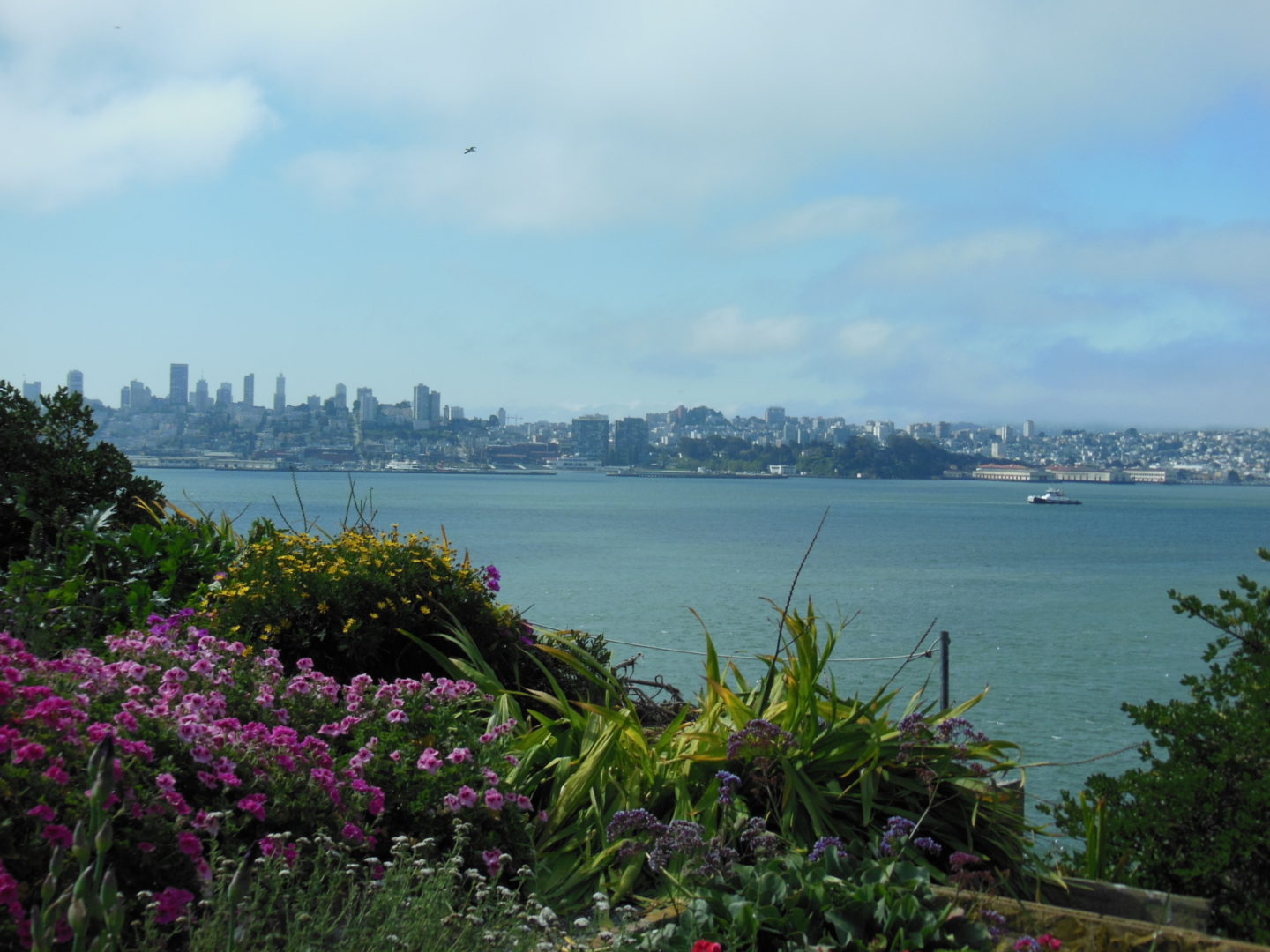 San Francisco