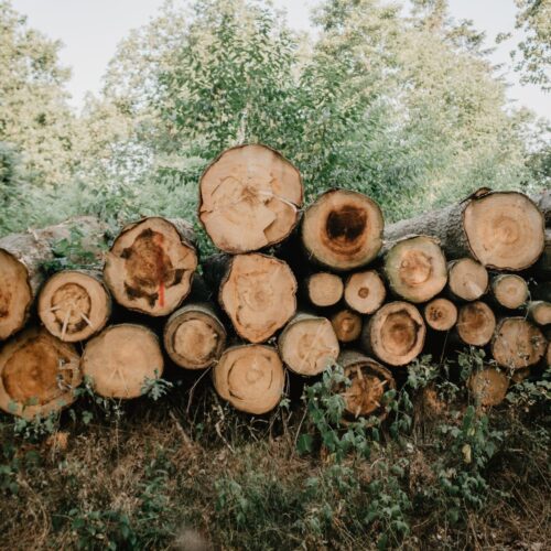 wood burner