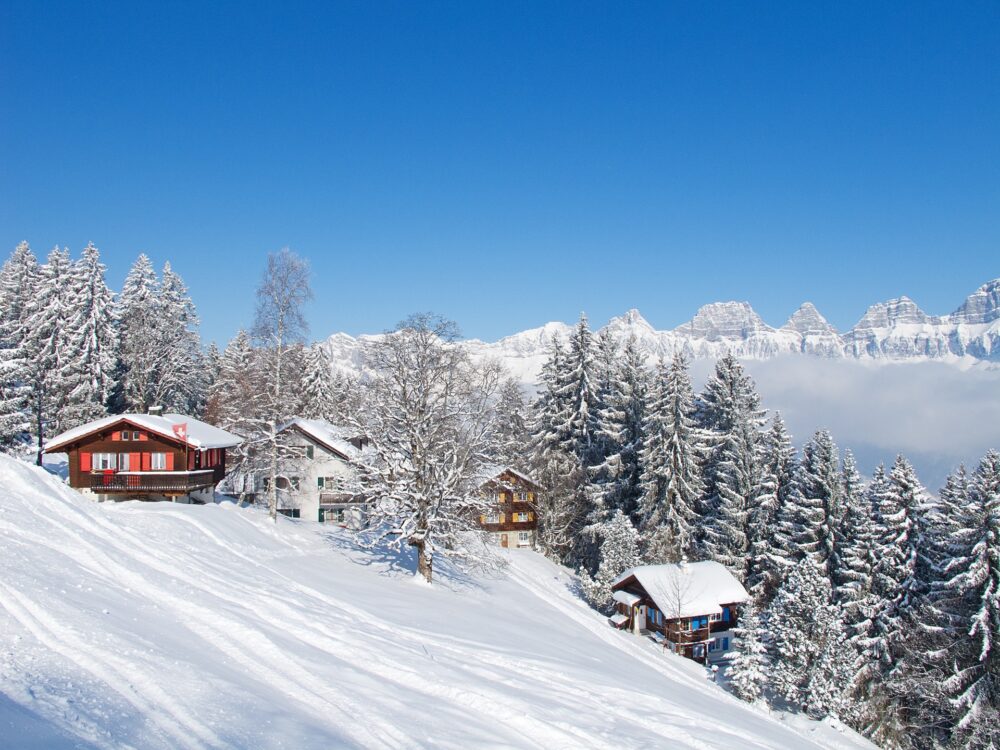 Winter Holiday