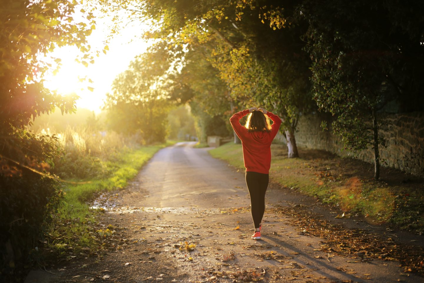 Essential Ingredients For A Successful Trail Run
