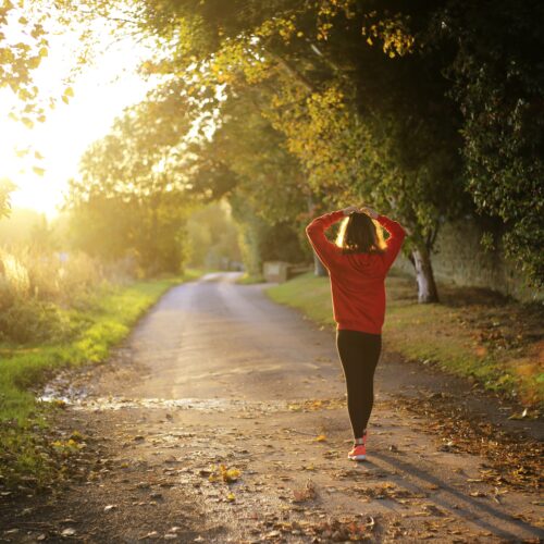 Essential Ingredients For A Successful Trail Run
