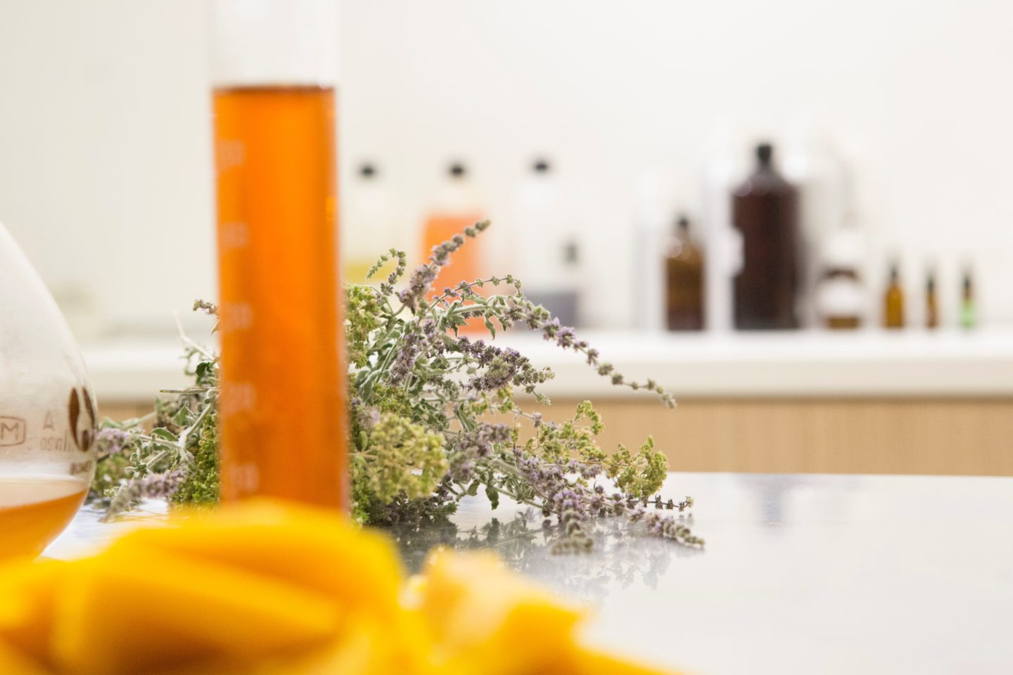 skincare parabens