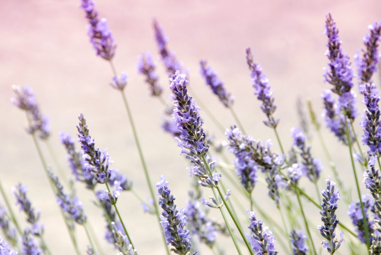 Natural Skincare Ideas