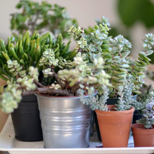 How To Give Your House An Eco-Friendly Makeover