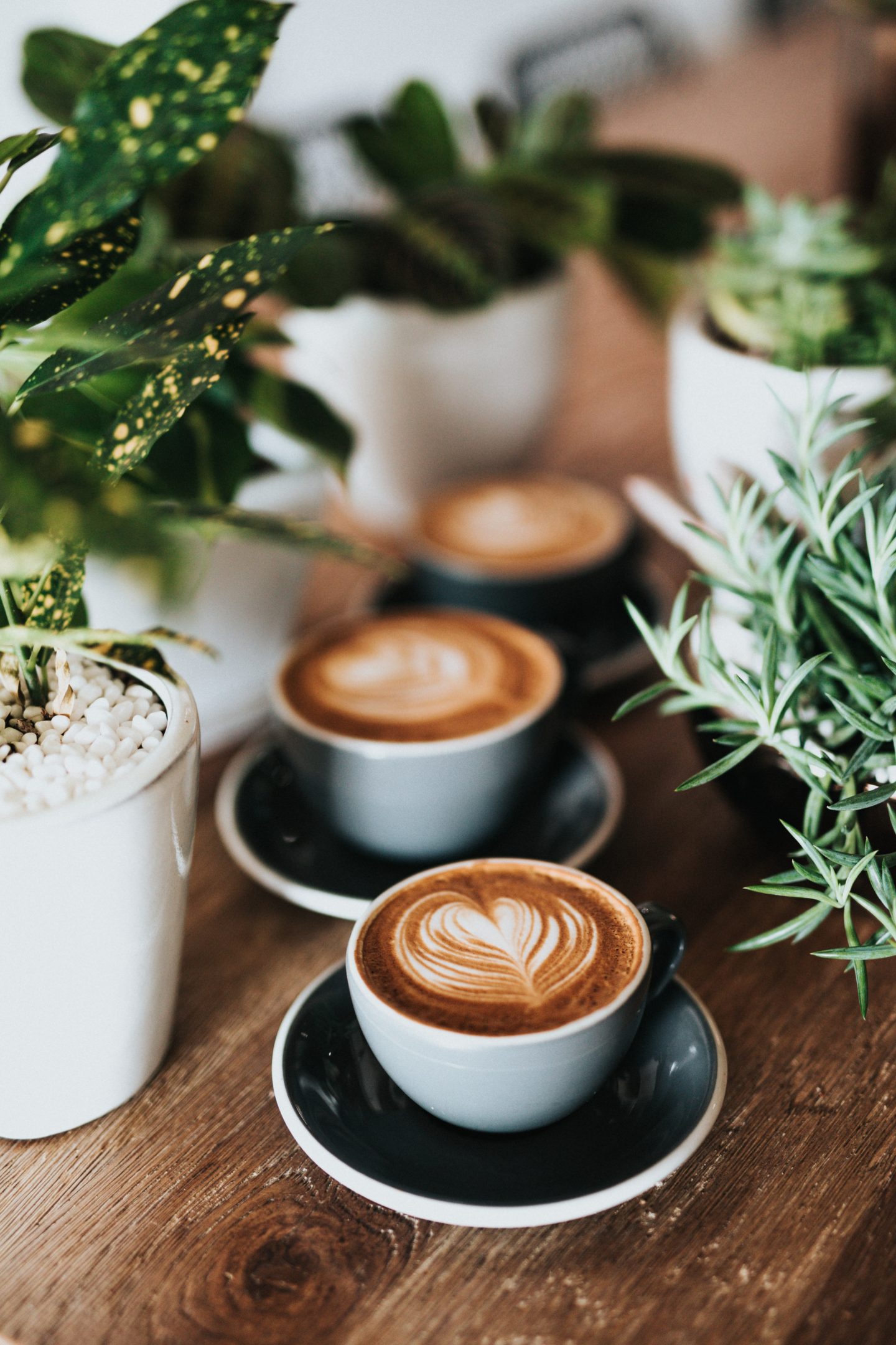 reduce coffee for hay fever
