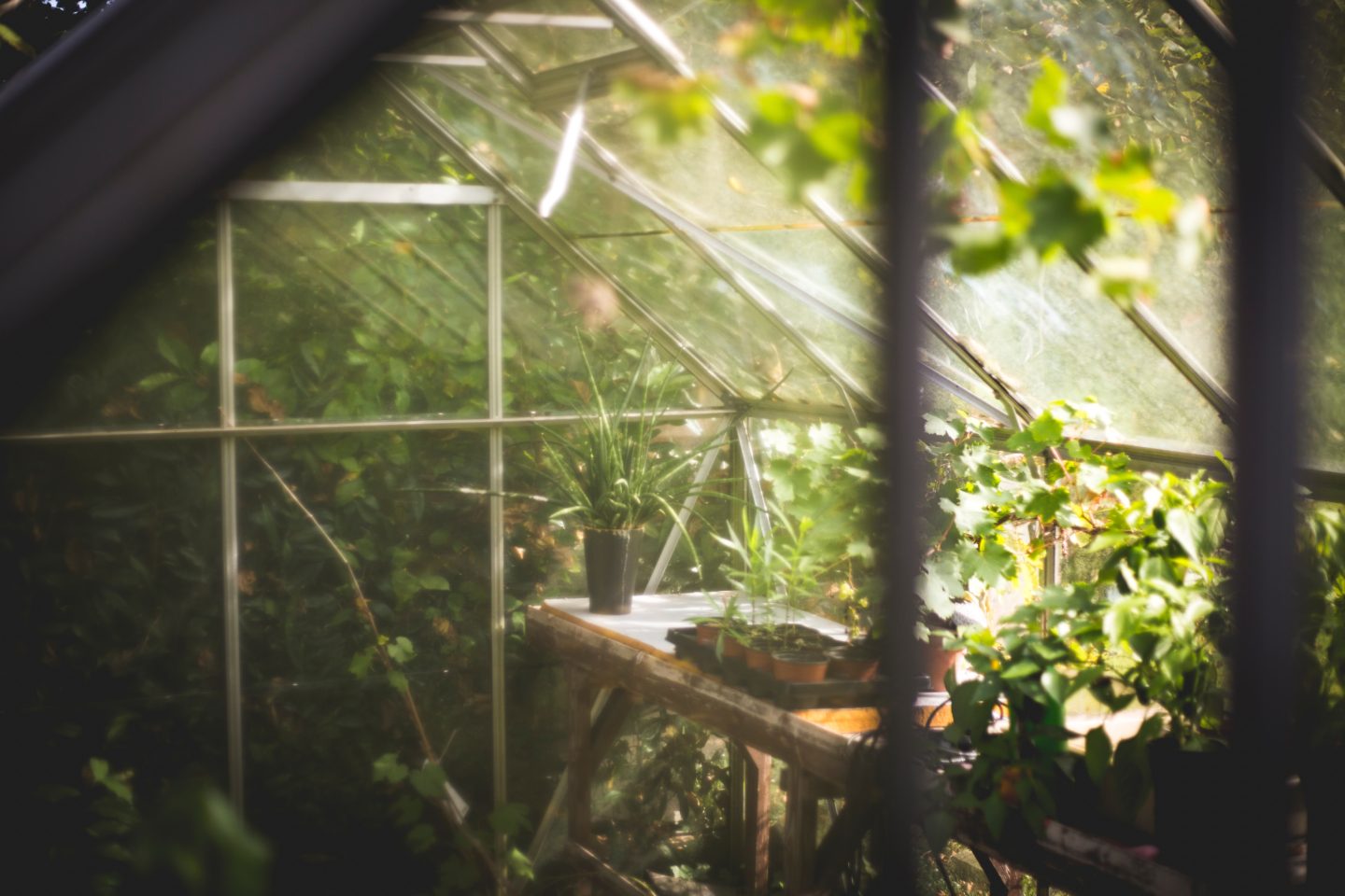 conservatory