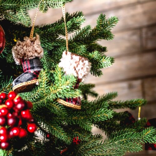 christmas tree