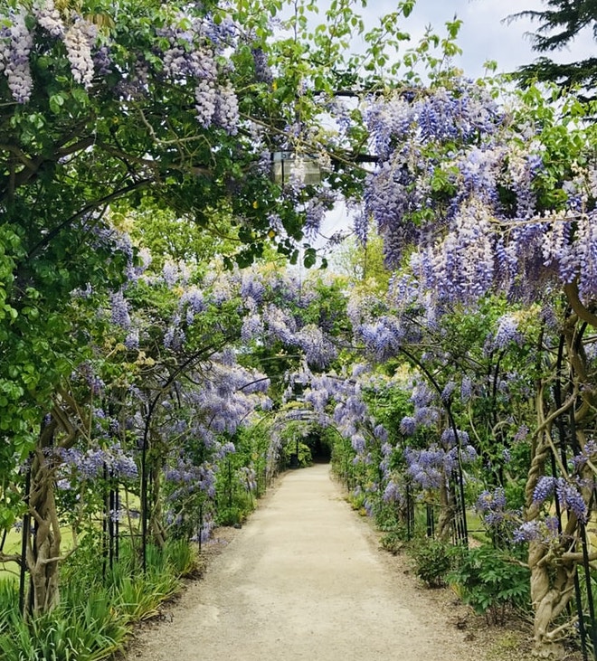 Turning Your Garden into an Eco-Oasis