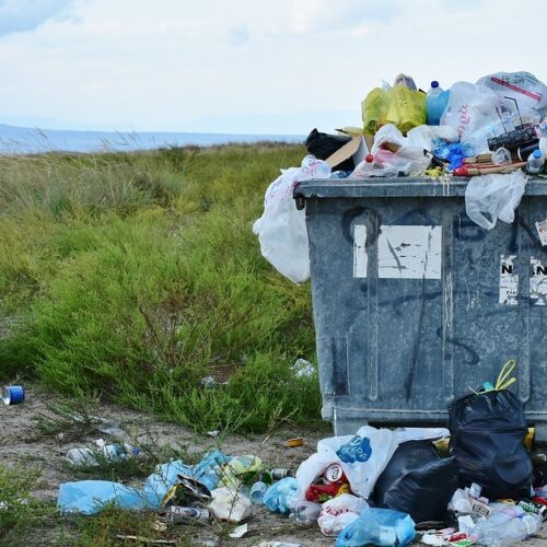 4 Easy Switches to Reduce Plastic Waste