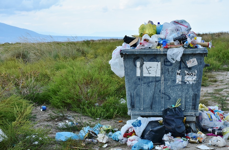 4 Easy Switches to Reduce Plastic Waste
