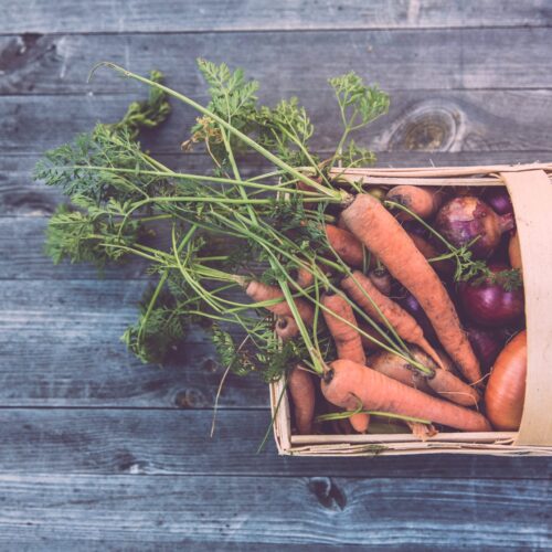Top 5 Growing Tips For Organic Gardening