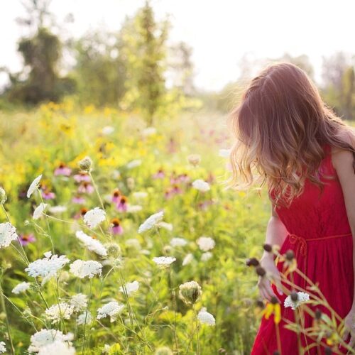 The Ultimate Guide - A Healthy Bucket List