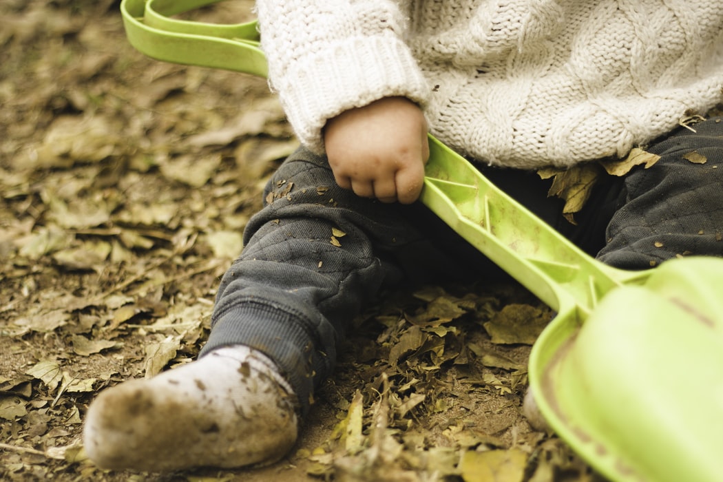 kids playing in leaves