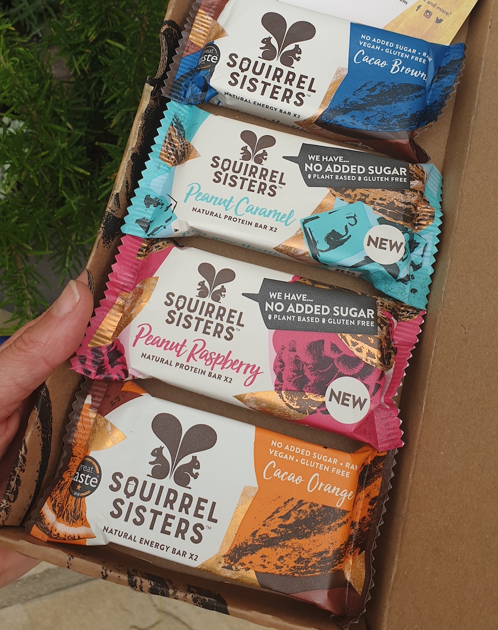 squirrel sisters protein bars