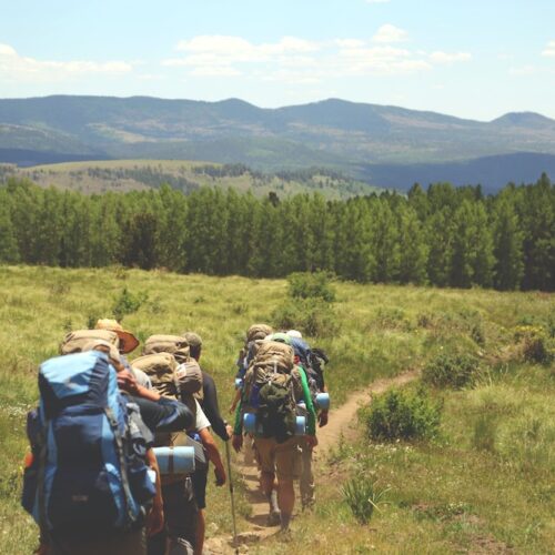 advice for travellers