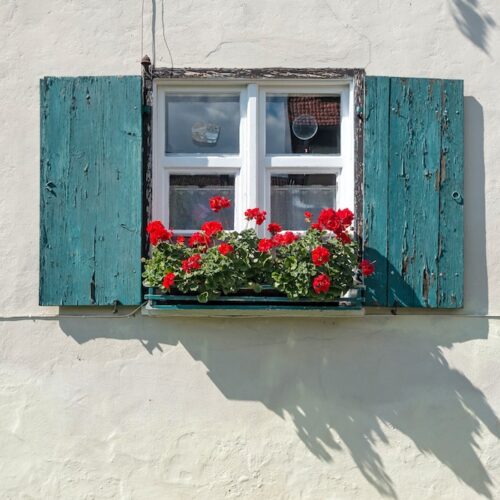 window shutter