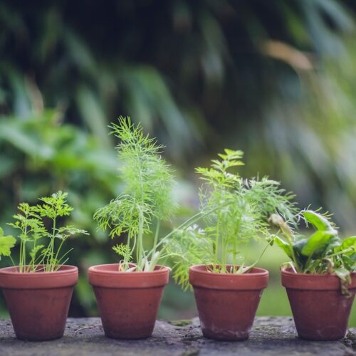 eco friendly swaps