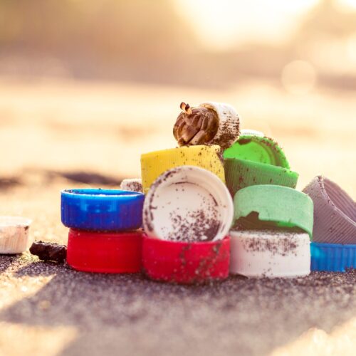 plastic free July