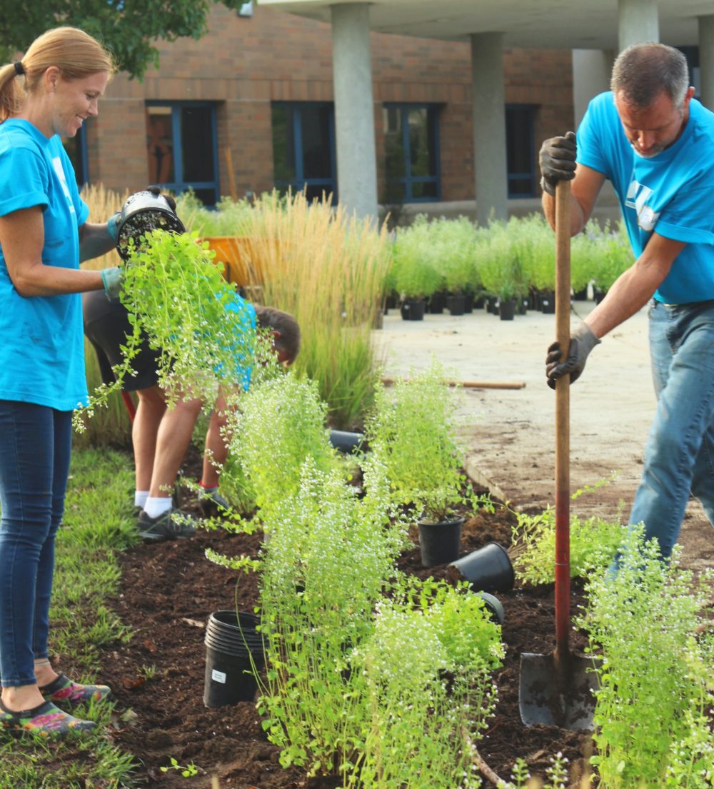 community garden