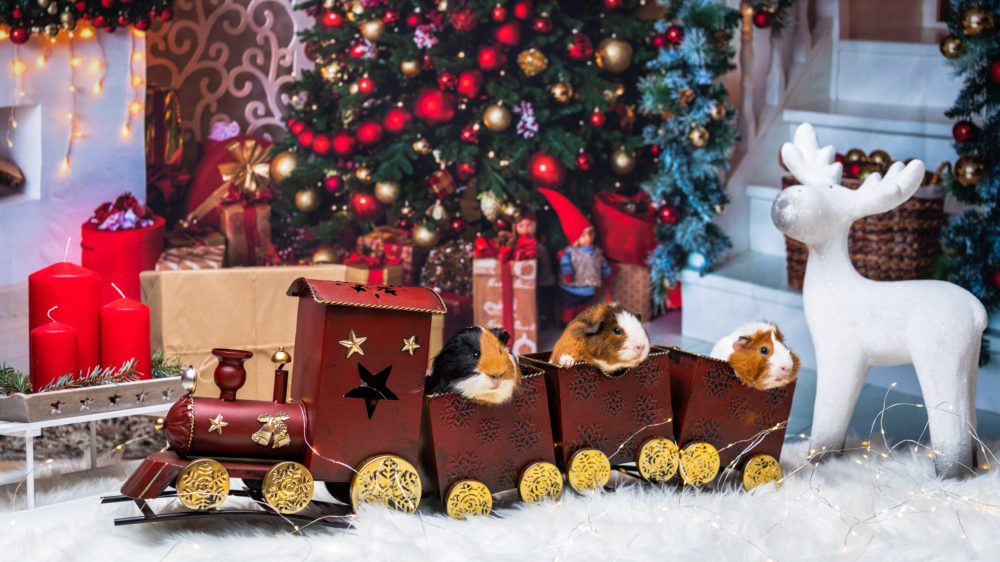 christmas toys