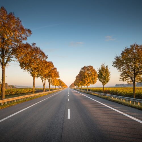 road trip
