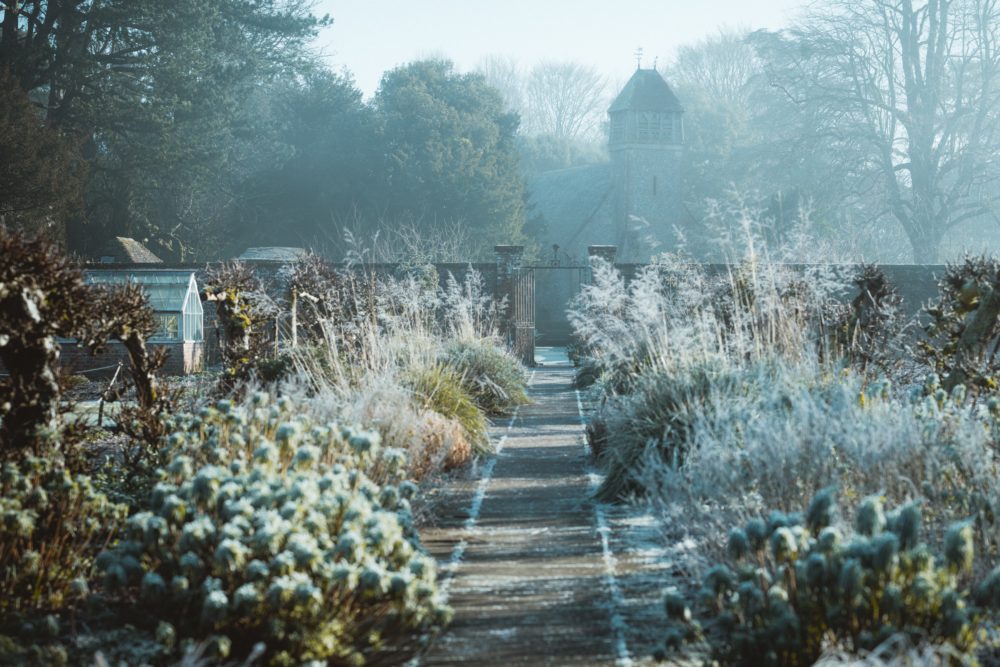 winter garden