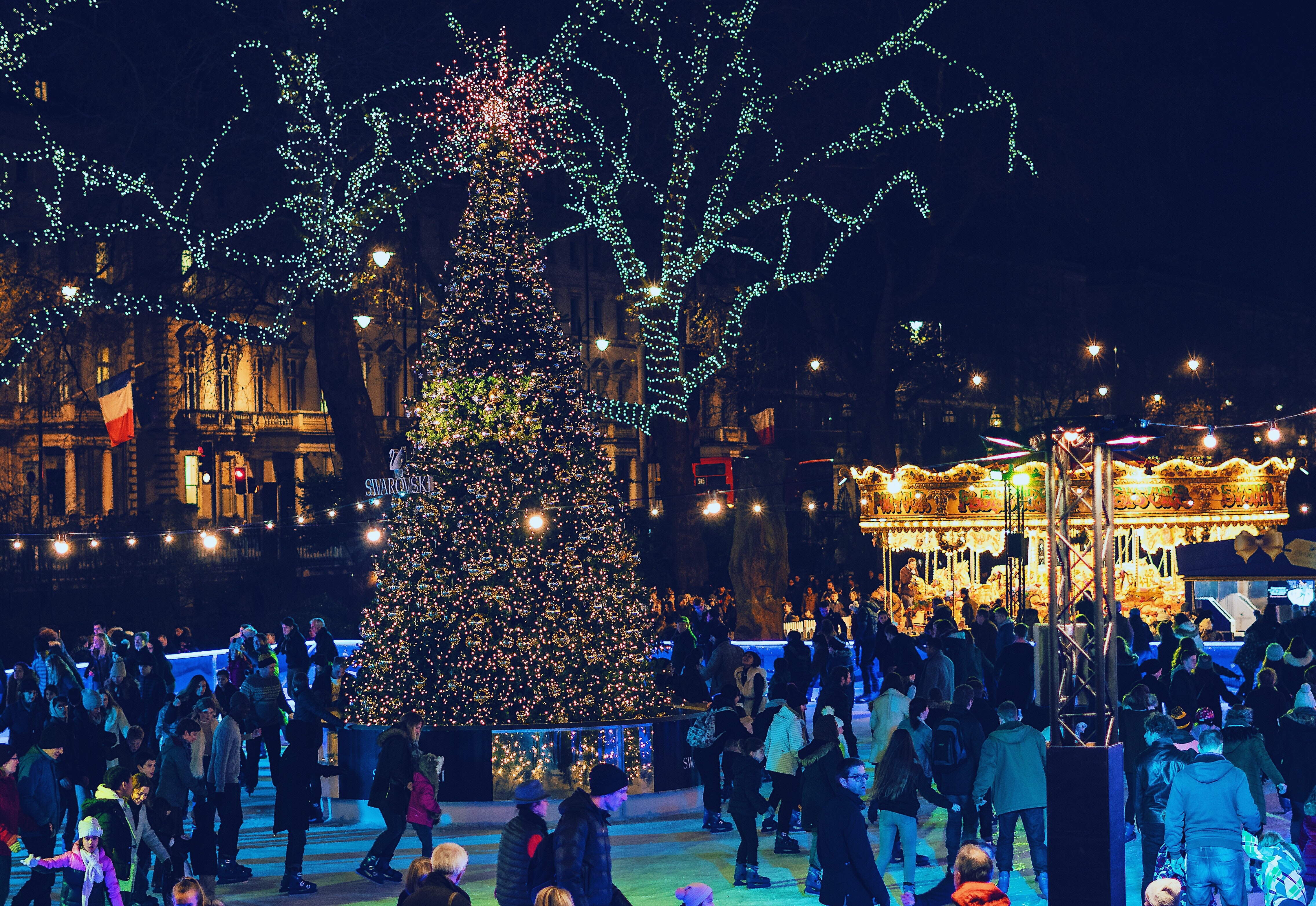 Winter wonderland