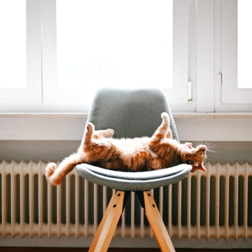 reduce your energy bills