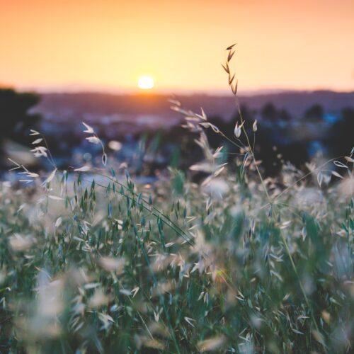 30 days wild ideas