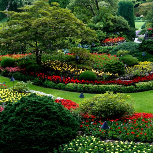 Environmentally-Friendly Landscaping