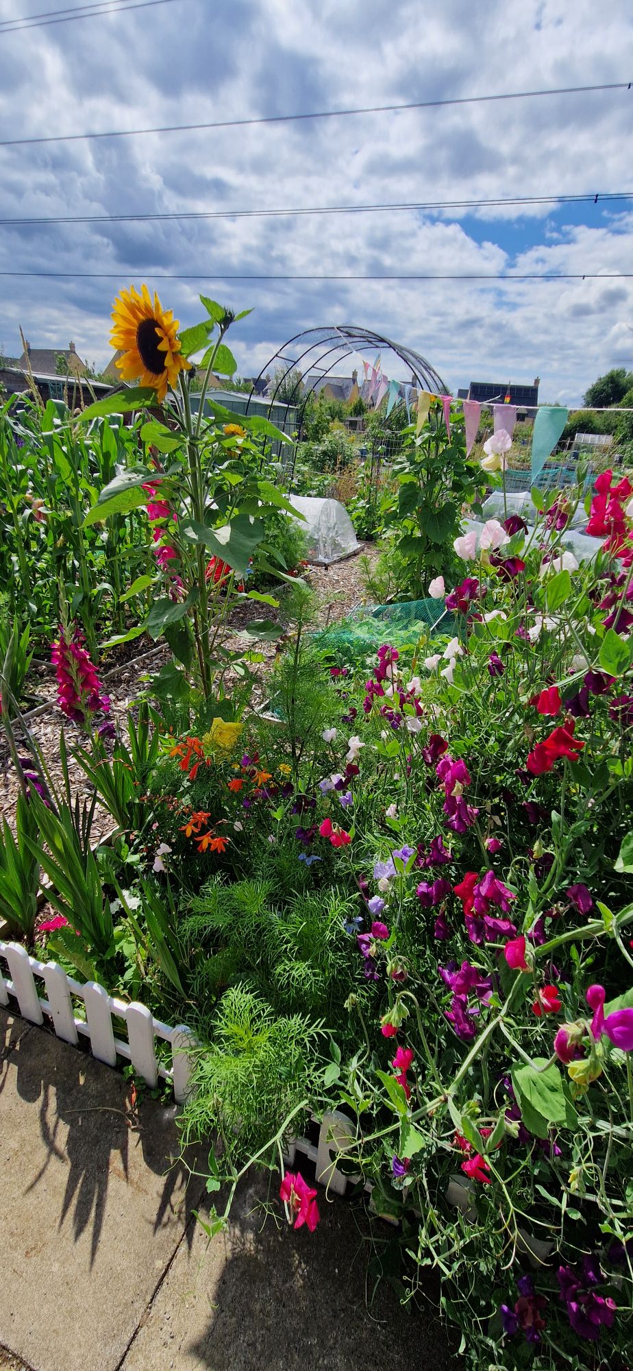 allotment