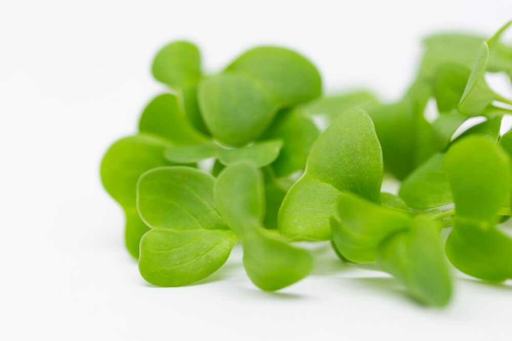microgreens
