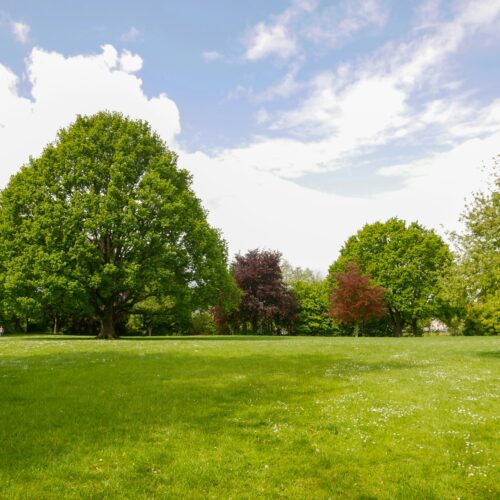 The Benefits Of Aerating & Dethatching Your Lawn